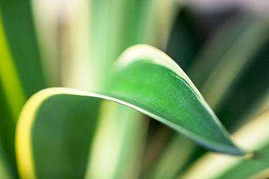 《杀戮尖塔2》明年在Steam开启抢先体验 前作广受好评